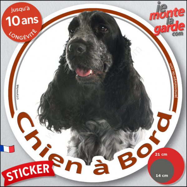 Cocker Anglais bleu, sticker autocollant rond "Chien à Bord" noir et blanc, adhésif vitre voiture photo