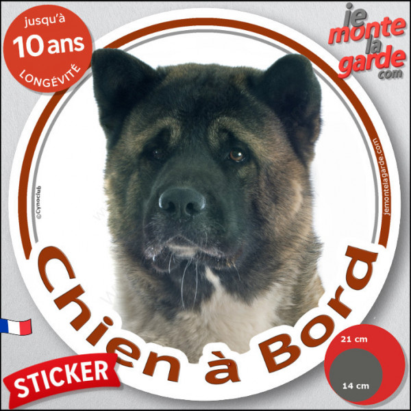 Akita américain bringé et blanc Tête, sticker rond voiture "Chien à Bord" Disque photo autocollant bringué marron
