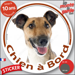 Fox-Terrier poils lisses, sticker voiture rond photo "Chien à Bord" 2 tailles D