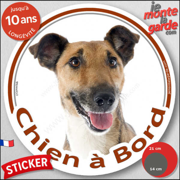 Fox-Terrier à poils lisses Tête, sticker autocollant rond "Chien à Bord" Disque photo adhésif vitre voiture marron