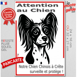 Plaque verticale "Attention au Chien, notre Chien Nu Chinois à Crête surveille et protège" 2 tailles D