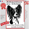 Plaque verticale "Attention au Chien, notre Chien Nu Chinois à Crête surveille et protège" 2 tailles D