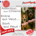Photo Personnalisable, plaque humour PLURIEL "Attention aux Chiens, Entre qui Veut, Sort qui Peut" 2 tailles 3S