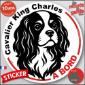Disque autocollant voiture "Cavalier King Charles à Bord" noir et blanc 2 tailles D