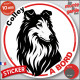 Disque autocollant "Colley à Bord" en noir et blanc. Sticker adhésif rond vitre voiture résiste intempéries