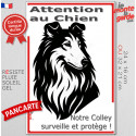 Plaque verticale "Attention au Chien, notre Colley surveille et protège" 2 tailles D
