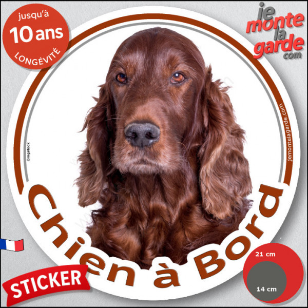 Setter Irlandais marron rouge, sticker autocollant rond "Chien à Bord" Disque adhésif vitre voiture photo résiste intempéries