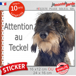 Teckel sanglier à poils durs, sticker autocollant "Attention au Chien" adhésif photo résiste intempéries
