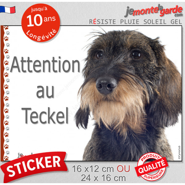 Teckel sanglier à poils durs, sticker autocollant "Attention au Chien" adhésif photo résiste intempéries