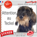 Teckel poils durs, autocollant photo "Attention au Chien" 2 tailles D