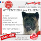 Akita Américain bringé masque noir, plaque portail humour "Attention au Chien, Jetez Vous au Sol, attendez secours, courage"