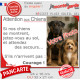 Photo Personnalisable, plaque portail humour PLURIEL "Attention aux Chiens, Jetez-Vous au Sol, Attendez secours, Courage"