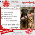 Photo Personnalisable, plaque humour PLURIEL "Attention au Chien, Jetez-Vous au Sol, courage" 2 tailles 3S