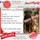 Photo Personnalisable, plaque portail humour PLURIEL "Attention aux Chiens, Jetez-Vous au Sol, Attendez secours, Courage" race