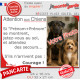 Photo Personnalisable, plaque portail humour PLURIEL "Attention aux Chiens, Jetez-Vous au Sol, Attendez secours, Courage" noms
