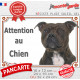Staffie bringé Tête, plaque portail extérieur "Attention au Chien" photo race Staffordshire Bull Terrier résiste intempéries