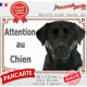 Labrador Noir, plaque portail "Attention au Chien" photo extérieure résiste intempéries
