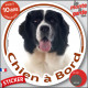 Landseer, sticker autocollant rond "Chien à Bord" Disque adhésif vitre voiture photo résiste intempéries