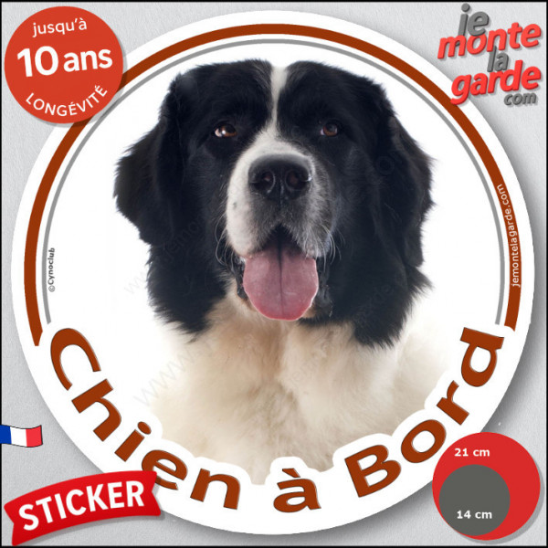 Landseer, sticker autocollant rond "Chien à Bord" Disque adhésif vitre voiture photo résiste intempéries