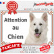Berger Blanc Suisse Tête, plaque portail extérieure "Attention au Chien" BBS photo résiste intempéries