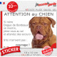 Dogue de Bordeaux, Sticker humour "Attention au Chien, montre, jetez-vous au sol et attendez secours" autocollant drôle photo