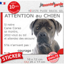 Cane Corso gris, sticker humour extérieur "Attention au Chien, Jetez Vous au Sol" 2 tailles JET D