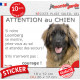 Leonberg, Sticker humour "Attention au Chien, montre, jetez-vous au sol et attendez secours" autocollant drôle photo