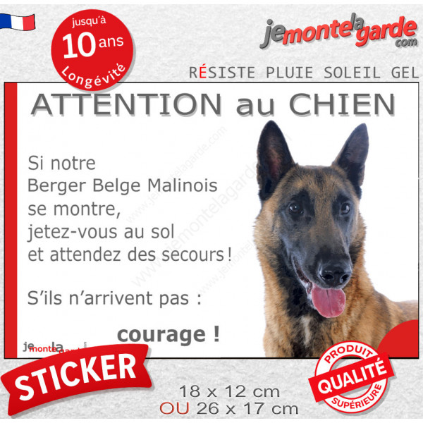 Berger Belge Malinois, Sticker humour "Attention au Chien, montre, jetez-vous au sol et attendez secours" autocollant drôle phot