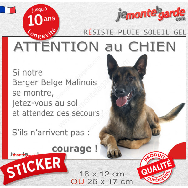 Berger Belge Malinois, Sticker humour "Attention au Chien, montre, jetez-vous au sol et attendez secours" autocollant drôle phot