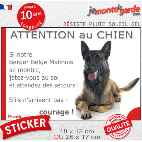 Berger Belge Malinois, sticker humour extérieur "Attention au Chien, Jetez Vous au Sol" 2 tailles JET D