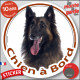 Berger Belge Tervueren noir et feu charbonné, sticker autocollant rond "Chien à Bord" Disque photo adhésif vitre voiture