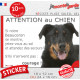Beauceron noir et feu, Sticker humour "Attention au Chien, montre, jetez-vous au sol et attendez secours" autocollant photo