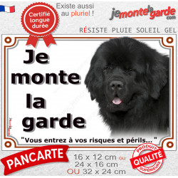 Terre Neuve noir, plaque portail extérieur "Je Monte la Garde, risques périls" pancarte panneau photo