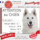 Berger Blanc Suisse, plaque portail humour "Attention au Chien, Nombre de Voleurs, ballons, facteurs" photo résiste intempéries