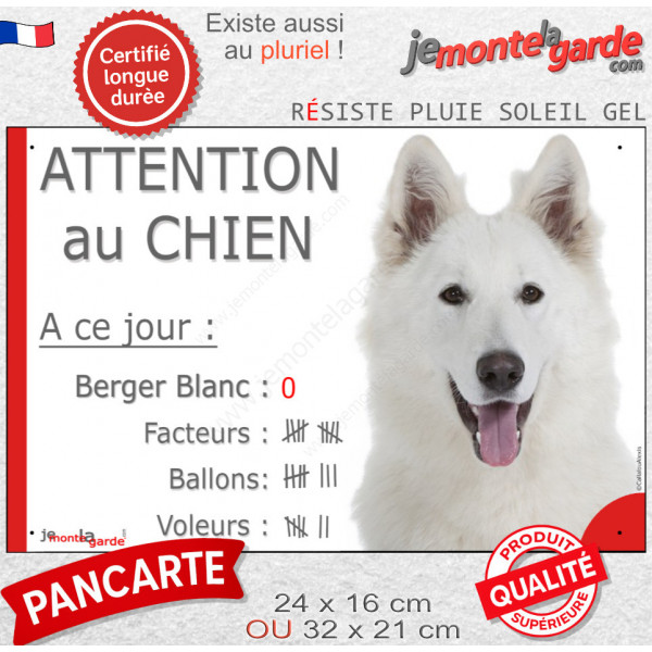 Berger Blanc Suisse, plaque portail humour "Attention au Chien, Nombre de Voleurs, ballons, facteurs" photo résiste intempéries