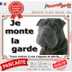 Shar-Peï noir, plaque portail extérieure "Je Monte la Garde, risques et périls" sharpei photo résiste intempéries