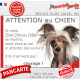 Chien Nu Chinois Crête brun rosé, plaque portail humour "Attention au Chien, Jetez Vous au Sol, attendez secours, courage" photo