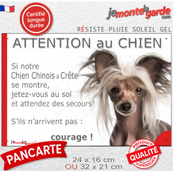 Chien Nu Chinois Crête brun rosé, plaque portail humour "Attention au Chien, Jetez Vous au Sol, attendez secours, courage" photo