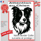 Plaque portail verticale "Attention au Chien, notre Border Collie surveille et protège" dessin stylisé noir et blanc, résiste
