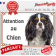 Cavalier King Charles tricolore, plaque portail extérieure "Attention au Chien" photo résiste intempéries
