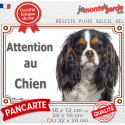 Cavalier King Charles tricolore, plaque portail extérieure "Attention au Chien" photo résiste intempéries