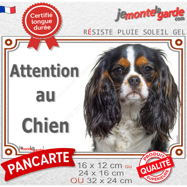 Cavalier King Charles tricolore, plaque portail extérieure "Attention au Chien" photo résiste intempéries