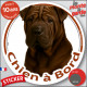 Shar-Peï marron chocolat, disque photo autocollant "Chien à Bord" Sticker adhésif rond vitre voiture résiste intempéries