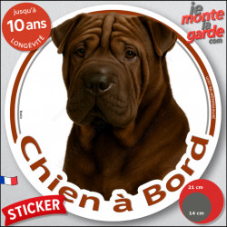 Shar-Peï marron chocolat, disque photo autocollant "Chien à Bord" Sticker adhésif rond vitre voiture résiste intempéries