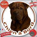 Shar-Peï marron chocolat, disque photo autocollant voiture "Chien à Bord" 2 tailles D
