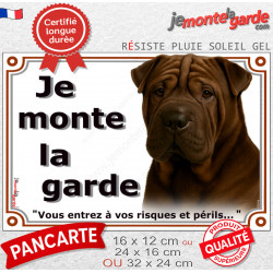 Shar-Peï marron chocolat, plaque portail "Je Monte la Garde, risques périls" photo Sharpei brun résiste intempéries