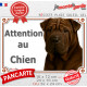 Shar-Peï marron chocolat, plaque portail "Attention au Chien" photo Sharpei brun résiste intempéries