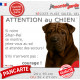 Shar-Peï marron chocolat, plaque humour "Attention au Chien, Jetez Vous au Sol, courage" photo résiste intempéries