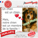 Photo Personnalisable, plaque "Notre chien est membre de la famille" 2 tailles LOVE D