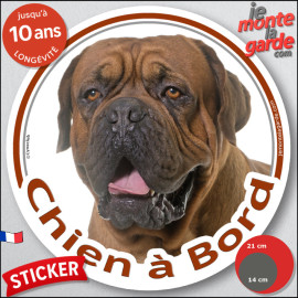 Dogue de Bordeaux face noire Tête, sticker autocollant rond "Chien à Bord" Disque photo adhésif vitre voiture chien, résiste plu